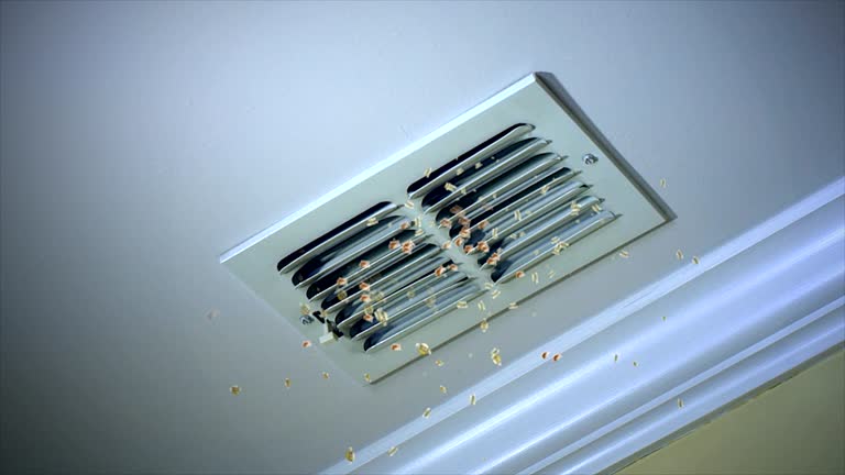 Best Affordable Duct Cleaning Services  in Dubuque, IA