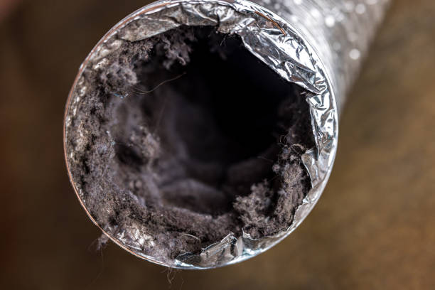 Best Local Air Duct Cleaning Services  in Dubuque, IA